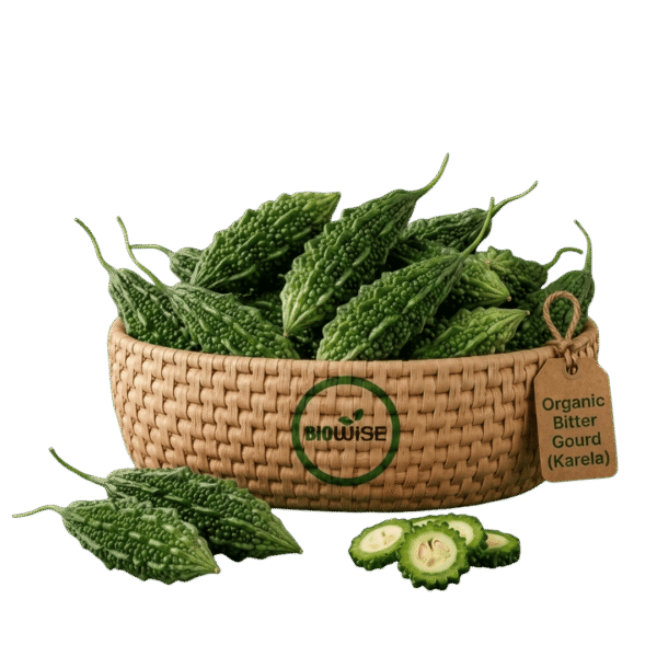 Organic Bitter Gourd (Karela) – Naturally Grown by BioWise