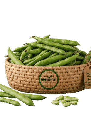 Organic Broad Beans (Avarakkai / Chikkadikai) – Naturally Grown by BioWise Organic Broad Beans (Avarakkai / Chikkadikai) – Naturally Grown by BioWise