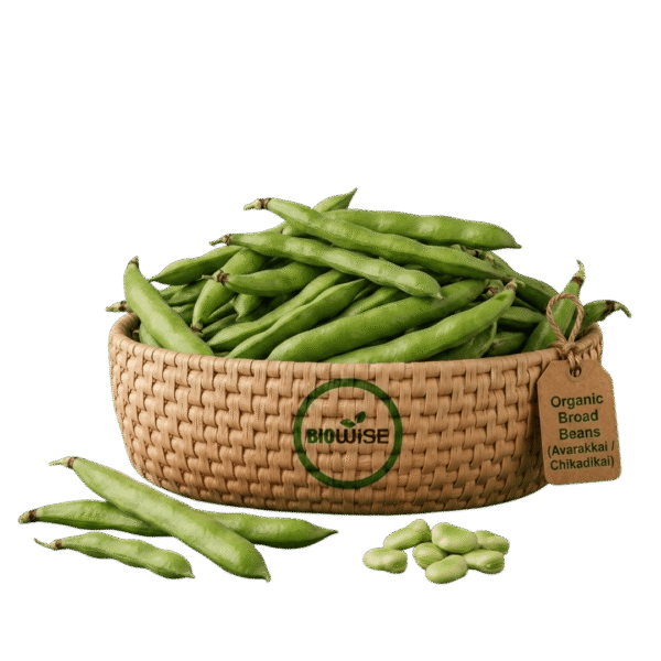 Organic Broad Beans (Avarakkai / Chikkadikai) – Naturally Grown by BioWise Organic Broad Beans (Avarakkai / Chikkadikai) – Naturally Grown by BioWise