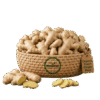 Organic Fresh Ginger Root – Naturally Grown by BioWise