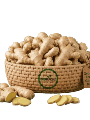 Organic Fresh Ginger Root – Naturally Grown by BioWise Organic Fresh Ginger Root – Naturally Grown by BioWise