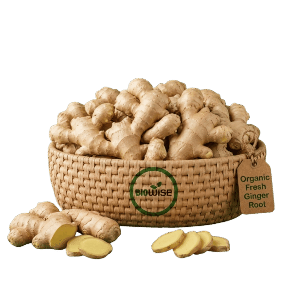 Organic Fresh Ginger Root – Naturally Grown by BioWise