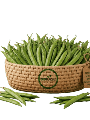 Organic Cluster Beans (Guar/Guar Phali) – Naturally Grown by BioWise