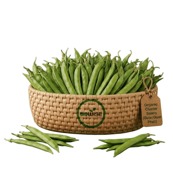 Organic Cluster Beans (Guar/Guar Phali) – Naturally Grown by BioWise Organic Cluster Beans (Guar/Guar Phali) – Naturally Grown by BioWise