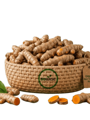 Organic Raw Turmeric Roots – Naturally Grown by BioWise Organic Raw Turmeric Roots – Naturally Grown by BioWise