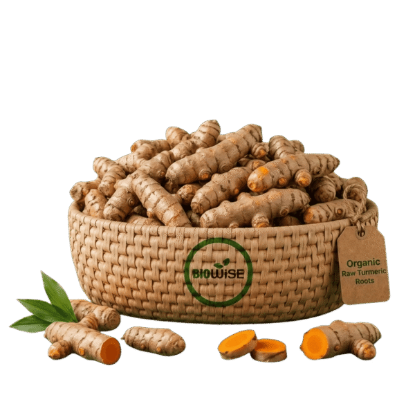 Organic Raw Turmeric Roots – Naturally Grown by BioWise Organic Raw Turmeric Roots – Naturally Grown by BioWise