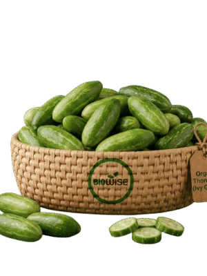 Organic Thondekai (Ivy Gourd) Organic Thondekai (Ivy Gourd) – Naturally Grown by BioWise