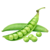 Organic Green Peas – Naturally Grown by BioWise