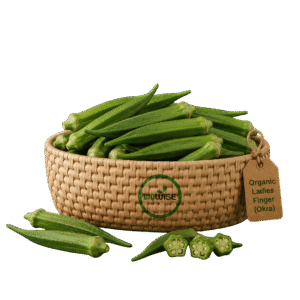 Organic Ladies Finger (Okra) – Naturally Grown by BioWise