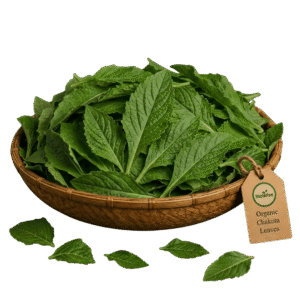 Organic Chakota Leaves (Sambar Keera) – Naturally Grown by BioWise