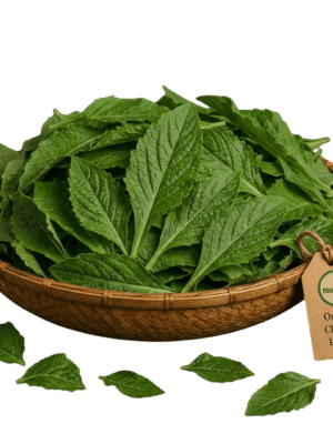 Organic Chakota Leaves Organic Chakota Leaves (Sambar Keera) – Naturally Grown by BioWise