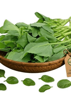 Organic Chikku Kura Organic Chikku Kura – Naturally Grown by BioWise