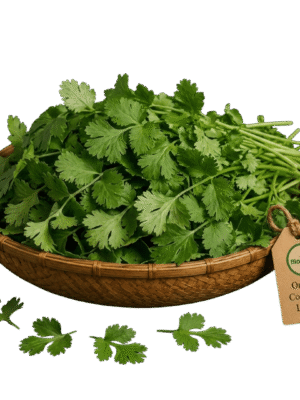 Organic Coriander Leaves Organic Coriander Leaves – Naturally Grown by BioWise