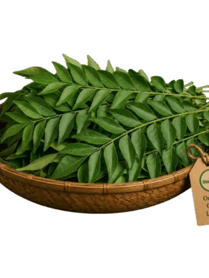 Organic Curry Leaves – Naturally Grown by BioWise