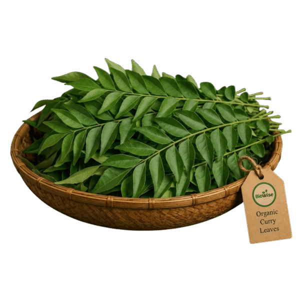 Organic Curry Leaves – Naturally Grown by BioWise