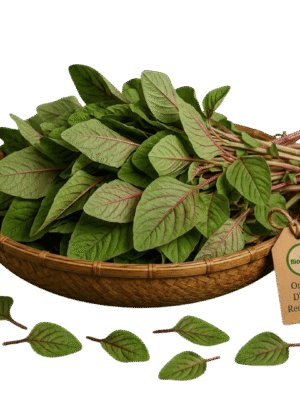Organic Fresh Dhantu (Red/Green Amaranth Leaves) – Naturally Grown by BioWise
