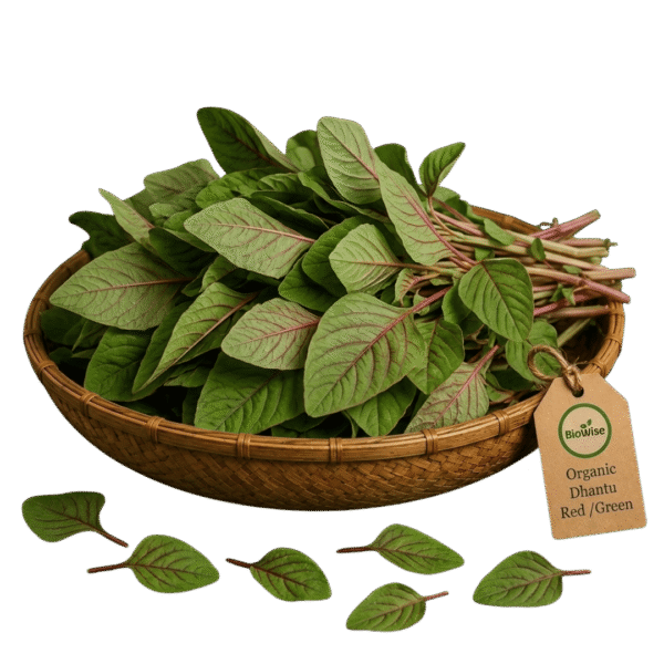 Organic Fresh Dhantu (Red/Green Amaranth Leaves) – Naturally Grown by BioWise Organic Fresh Dhantu (Red/Green Amaranth Leaves) – Naturally Grown by BioWise