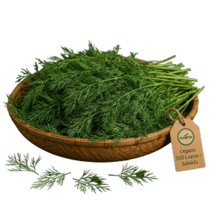 Organic Dill Leaves (Sabakki) – Naturally Grown by BioWise
