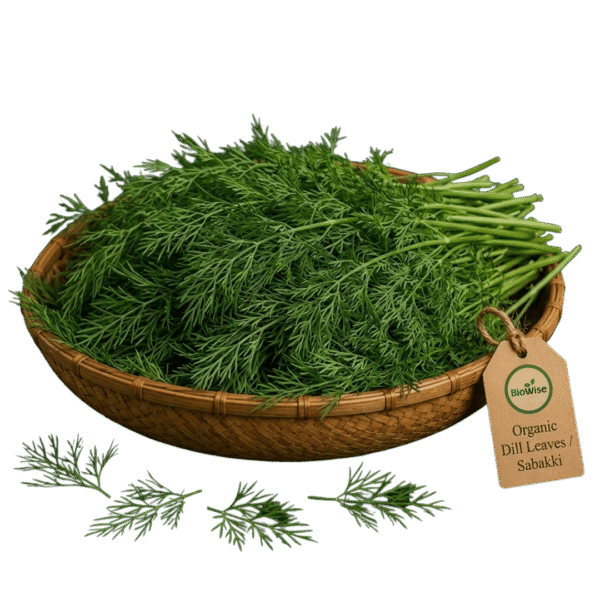 Organic Dill Leaves (Sabakki) – Naturally Grown by BioWise