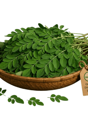 Organic Drumstick Leaves (Moringa Leaves) – Naturally Grown by BioWise