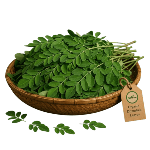 Organic Drumstick Leaves (Moringa Leaves) – Naturally Grown by BioWise