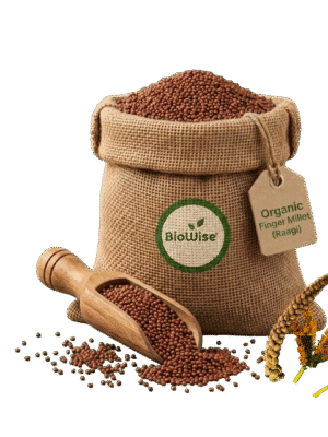 Organic Finger Millet (Ragi) – Naturally Grown by BioWise
