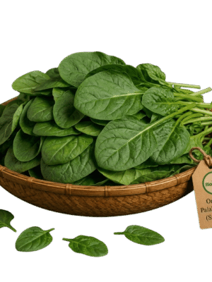 Organic Fresh Palak Leaves (Spinach) – Naturally Grown by BioWise