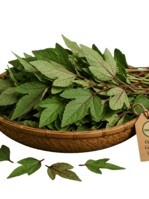 Organic Fresh Gongura Leaves – Naturally Grown by BioWise