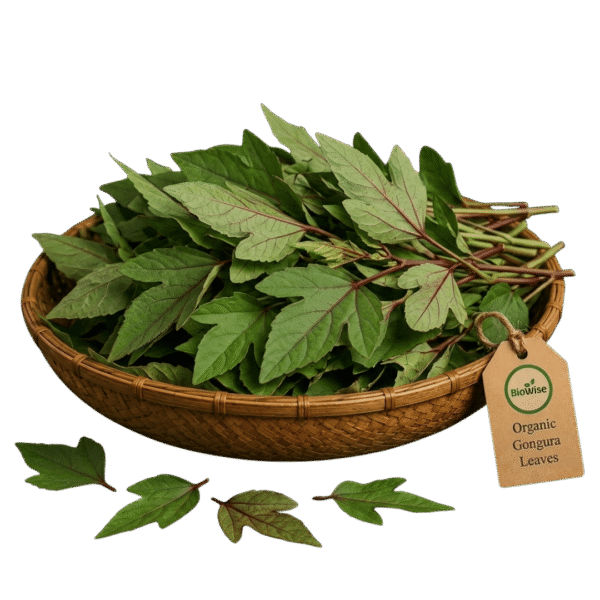 Organic Gongura Leaves Organic Fresh Gongura Leaves – Naturally Grown by BioWise