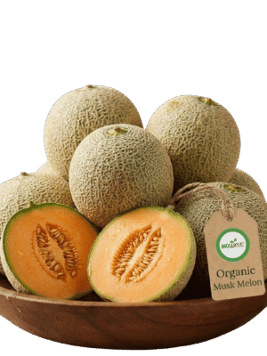 Organic Musk Melon Organic Musk Melon – Naturally Grown by BioWise