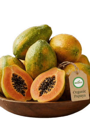 Organic Papaya Organic Papaya – Naturally Grown by BioWise