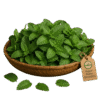 Organic Pudina Leaves (Mint) – Naturally Grown by BioWise Organic Pudina Leaves (Mint) – Naturally Grown by BioWise