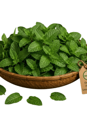 Organic Pudina Leaves (Mint) – Naturally Grown by BioWise
