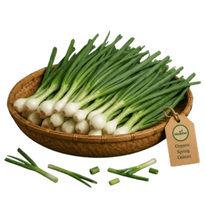 Organic Spring Onion – Naturally Grown by BioWise