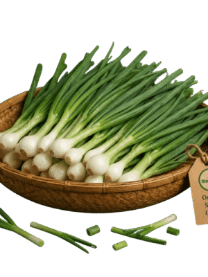 Organic Spring Onion – Naturally Grown by BioWise