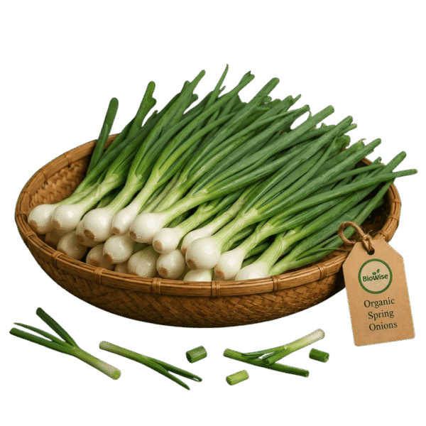 Organic Spring Onion – Naturally Grown by BioWise Organic Spring Onion – Naturally Grown by BioWise
