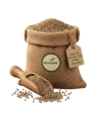 Organic Brown Top Millet (Korale) Alt Text (Recommended) Organic Brown Top Millet (Korale) – Naturally Grown by BioWise