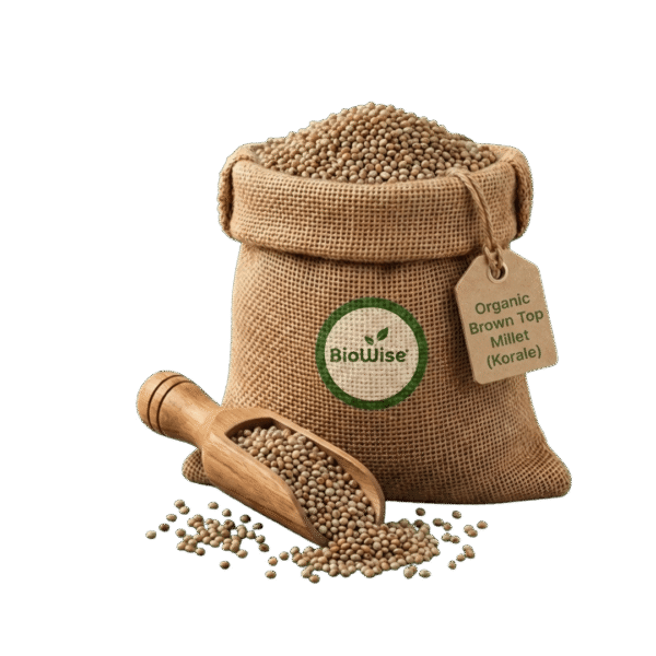 Alt Text (Recommended) Organic Brown Top Millet (Korale) – Naturally Grown by BioWise