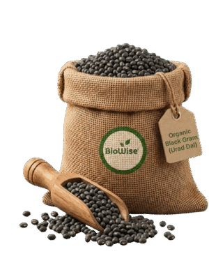 Organic Black Gram (Urad) Organic Black Gram (Urad Dal) – Naturally Grown by BioWise