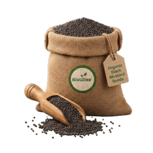 Organic Black Mustard Seeds – Naturally Grown by BioWise