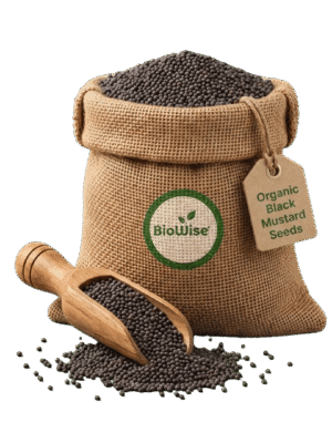 Organic Black Mustard Seeds – Naturally Grown by BioWise