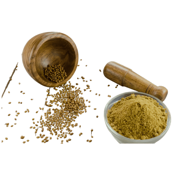 Organic Coriander Powder – Naturally Grown by BioWise