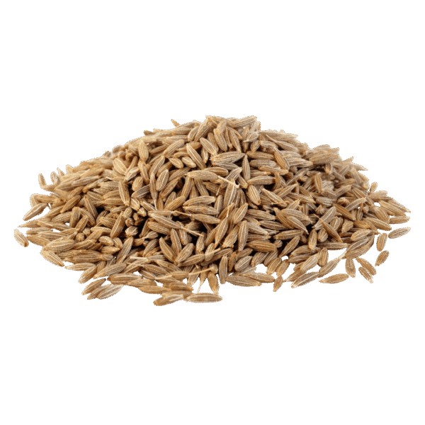 Organic Cumin Seeds Organic Cumin Seeds (Jeera) – Naturally Grown by BioWise