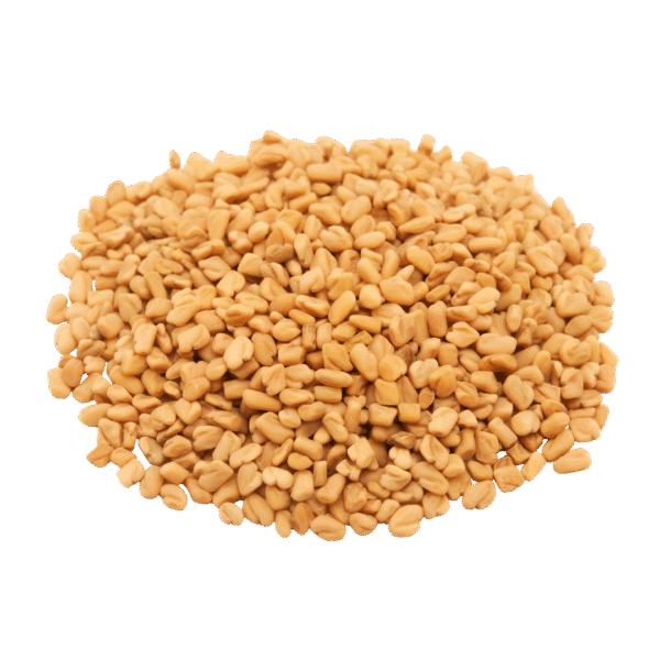Organic Fenugreek Seeds (Methi) Organic Fenugreek Seeds (Methi) – Naturally Grown by BioWise