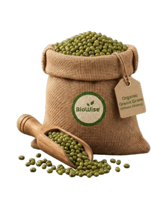 Organic Green Gram (Whole Moong) Organic Green Gram (Whole Moong) – Naturally Grown by BioWise