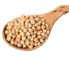 Organic Kabuli Chana (White Chickpeas) – Naturally Grown by BioWise Organic Kabuli Chana (White Chickpeas) – Naturally Grown by BioWise