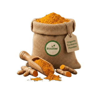 Organic Turmeric Powder (Haldi) – Naturally Grown by BioWise