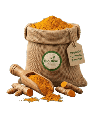 Organic Turmeric Powderr Organic Turmeric Powder (Haldi) – Naturally Grown by BioWise