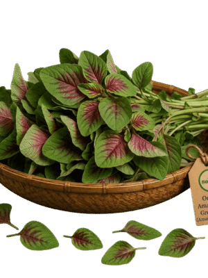 Organic Amaranthus Green/Red (Amaranth Leaves) – Naturally Grown by BioWise