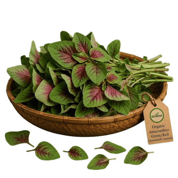 Organic Amaranthus Green:Red (Amaranth Leaves) Organic Amaranthus Green/Red (Amaranth Leaves) – Naturally Grown by BioWise